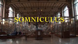 Somniculus (trailer) | BIEFF 2018
