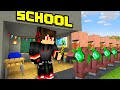 Minecraft but i open a school