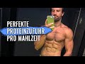 Sofort mehr Muskeln | Optimale Proteinzufuhr pro Mahlzeit