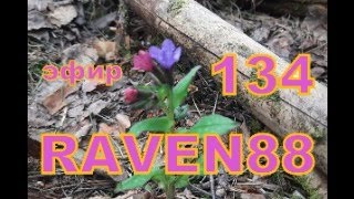 RAVEN 88 ЭФИР 134