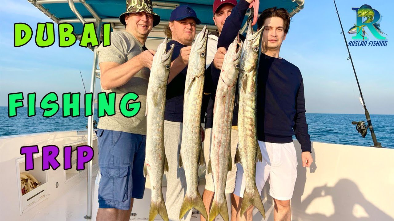 Barracuda in Dubai . How to catch ? YouTube