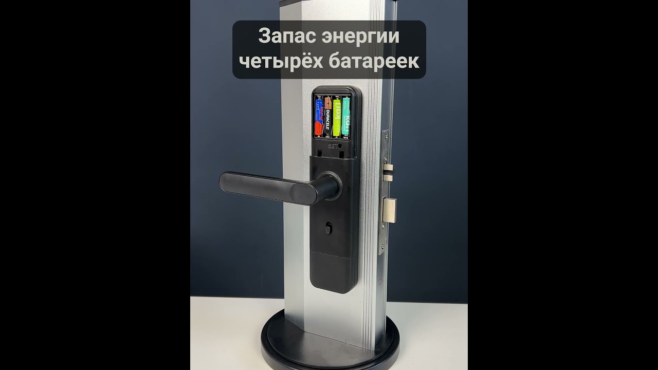 Дверной замок WIFI PS-Link PS-F2