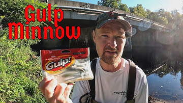 How To Fish The Gulp Minnow For Bass