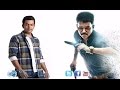 Prithviraj Buy Vijay`s Theri | 123 Cine news | Tamil Cinema news Online