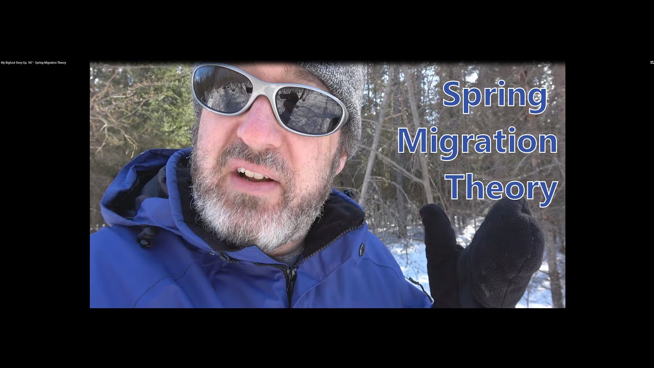My Bigfoot Story Ep. 167 - Spring Migration Theory