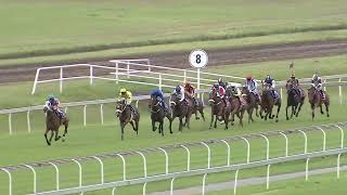 Vidéo de la course PMU PRIX NEXT VAAL RACEMEETING TUESDAY 27 DECEMBER CLASSIFIED STAKES