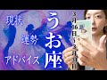 うお座さん3月16日から31日の運勢・アドバイス🍀*゜タロット占い