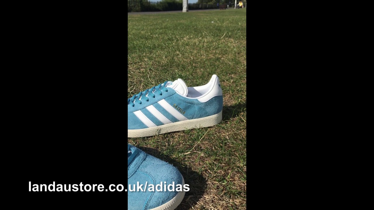 blue and gold adidas trainers