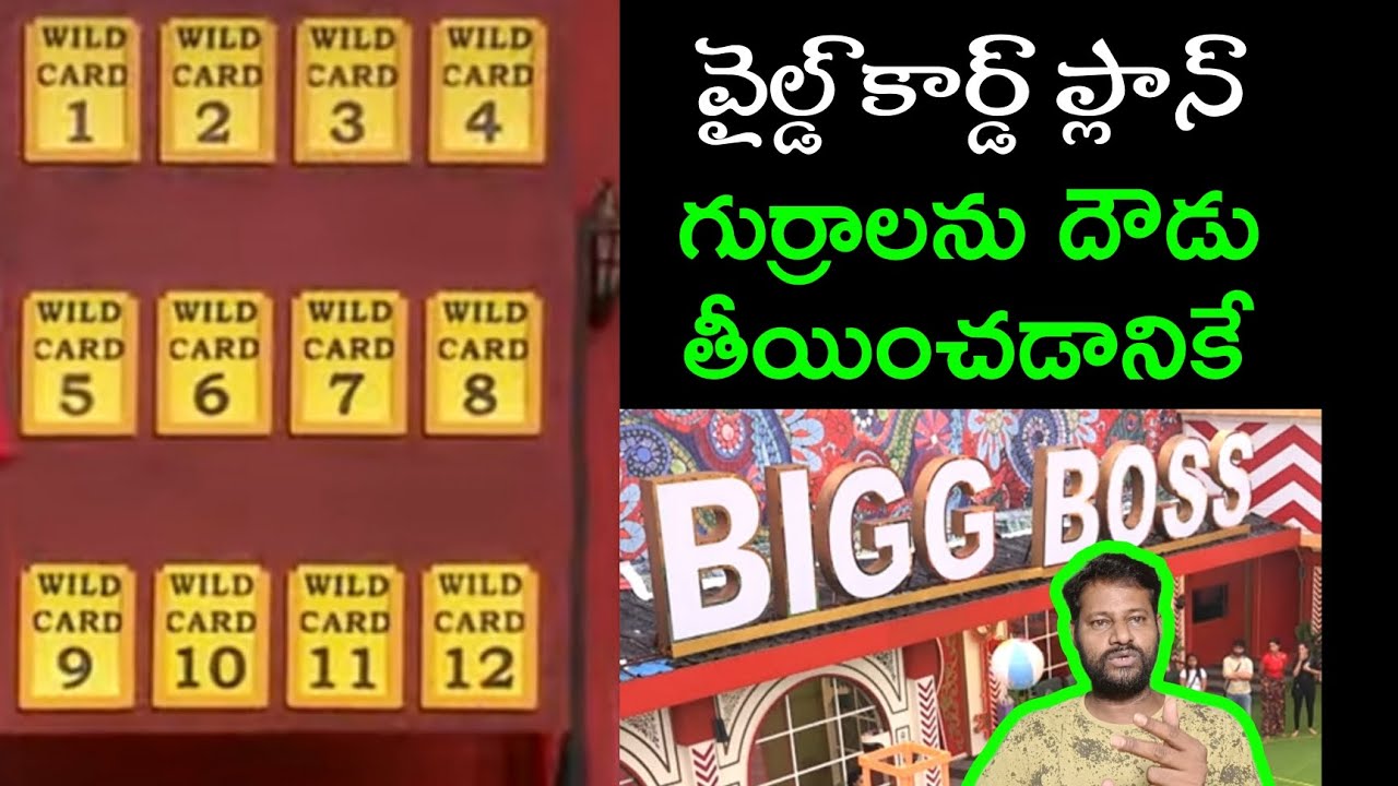 Wild Card Master Plan By Bigg Boss 8 Telugu | JD UPDATES