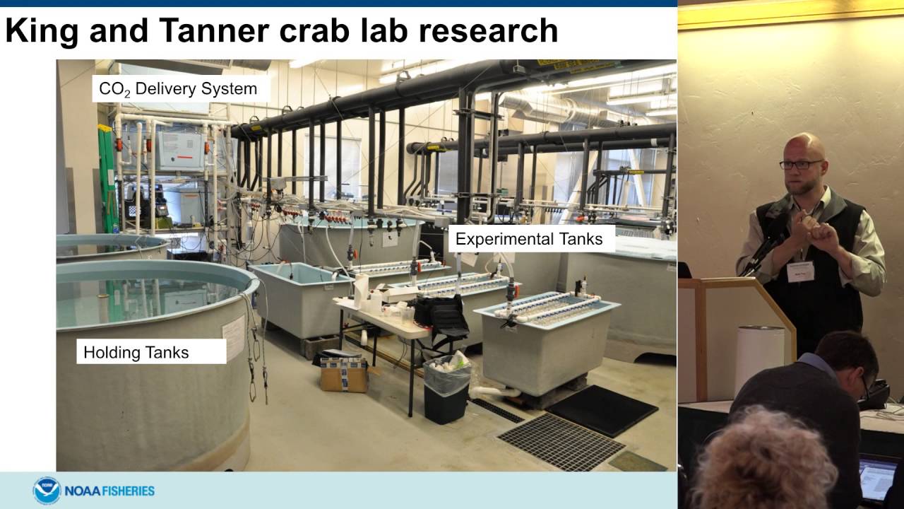 Ocean Acidification and shellfish fishery resources in the Aleutian Islands