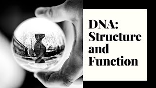 Intro to DNA | Denaturation and tm | Melting temperature | Conformations of double stranded DNA
