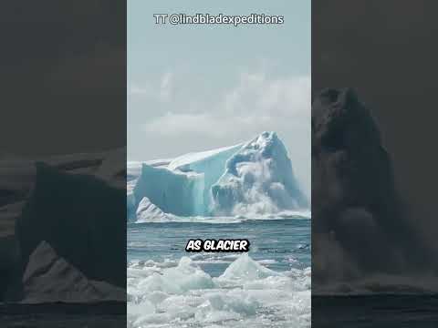 Why Icebergs Flip