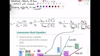 Chem 435 Ch 7 Enzyme Mechanisms Section 4 and 5