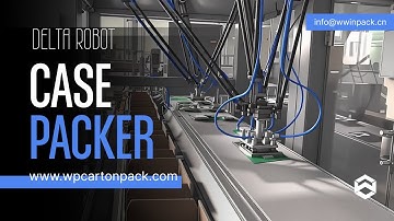 WIN-WIN PACK Delta Robot Case Packer for Bagged Food | Precise Picking and Continuous Carton Loading