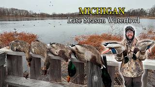 Late Season Ducks - Michigan 2025