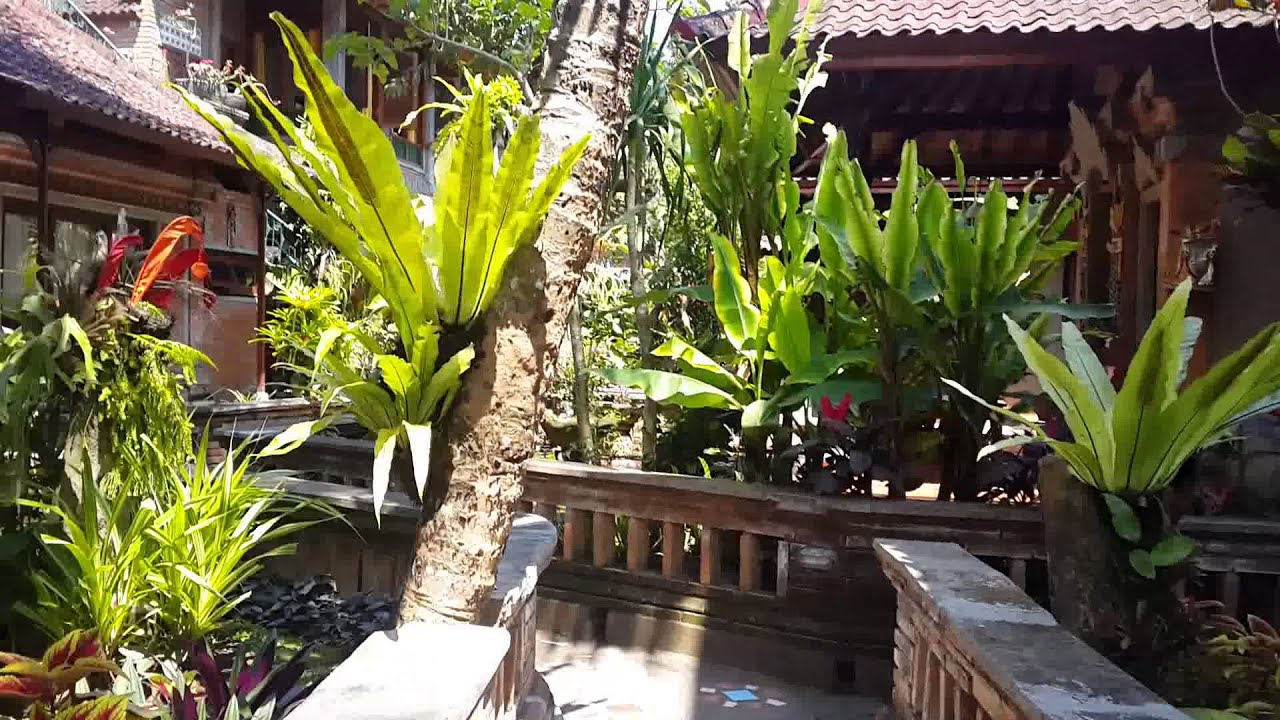 Ketuts Place Ubud - YouTube