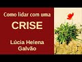 COMO LIDAR COM UMA CRISE (2018) - Lúcia Helena Galvão