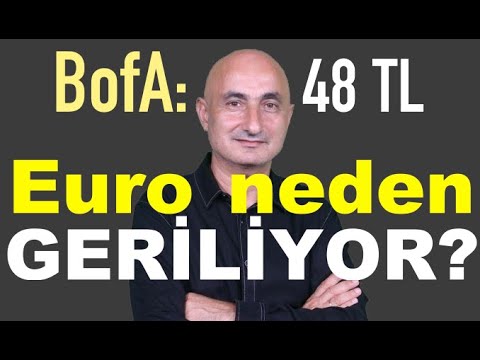 Video: Yumurta tavukları neden tüy bırakır?