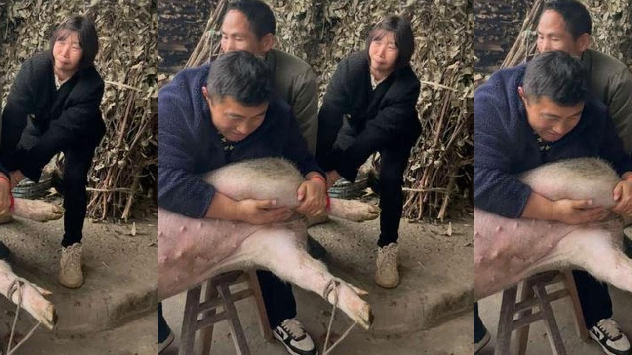 今年杀年猪请刨猪汤了，保保特意嘱咐，留块大的给亲家母#抖音商城秒杀