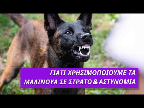 Γιατί επιλέγουμε τα