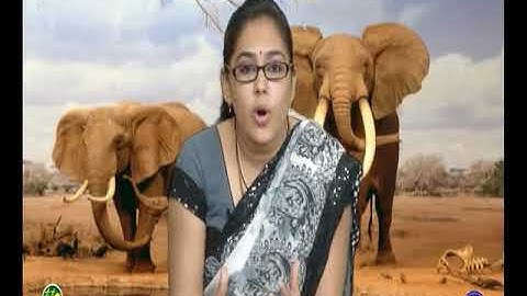 VCP-std8-sem2-Unit3-Epi-10(38)-Act7-27012017