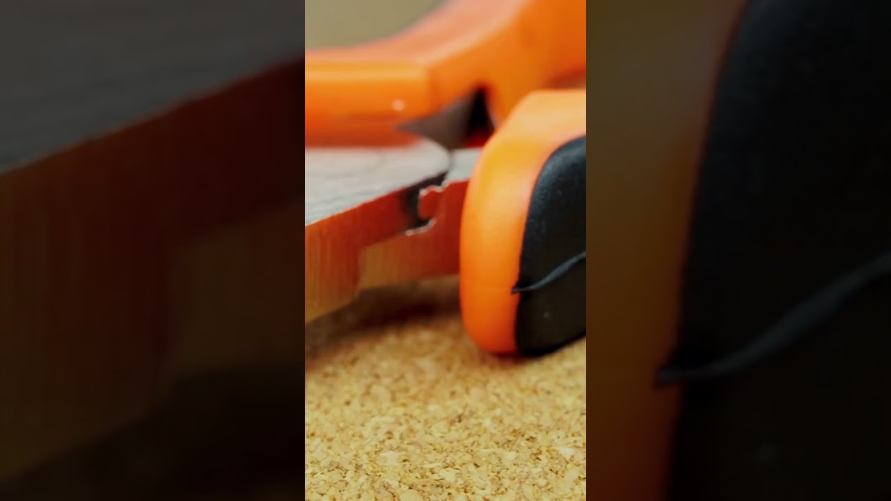 The Compass That Rewrote the Universe