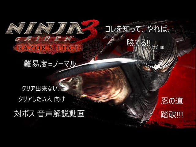 NINJA GAIDEN 3 RE どうしてもクリアしたい人向け 難易度=ノーマル