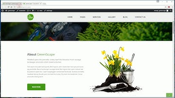 How to update Unyson plugin correctly in Greenscape WP theme