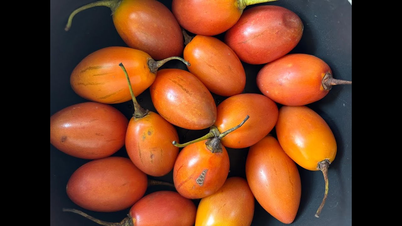 Cómo Pelar Tomates de Árbol FACIL y Hacer un Jugo Natural y Delicioso en Minutos