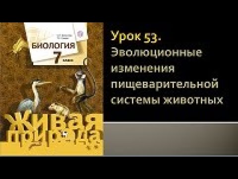 Биология 7 класс. Урок 53