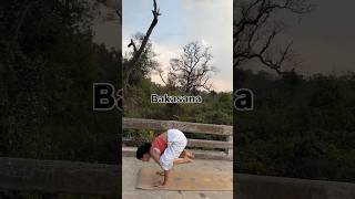 Save and Try this flow #yogaflow #yoga #yogalife #shortfeed #shortvideo #youtubeshort #youtube