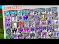 I obtained the most exploited items in survival minecraft