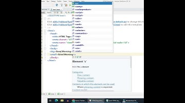 HTML Big Tag | HTML Tutorial for Beginners in Tamil #shorts