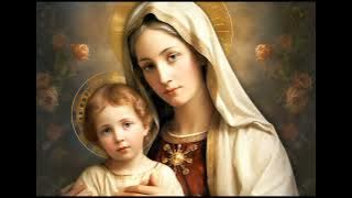 Ave Maria  Giulio Caccini  ( Nikolai Vavilov )