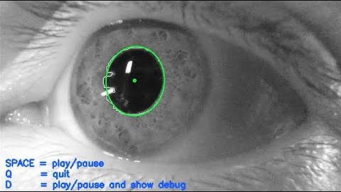 A Lightweight Python Eye Tracker (open sourced)