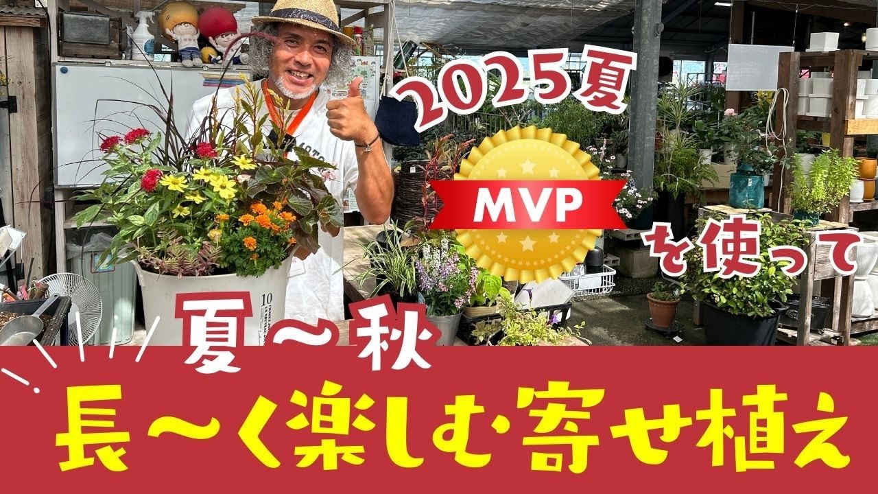 夏の終わりの秋を感じる寄せ植え！暑さに強くて晩秋まで楽しめるお花で植物生活を楽しもう♫