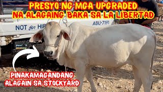 PINAKAMAGANDANG ALAGAIN SA LA LIBERTAD STOCKYARD | PRESYO NG MGA UPGRADED NA ALAGAING BAKA | SOLLE'S