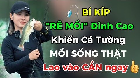Đừng ngồi yên – Cách RÊ MỒI khiến cá tưởng mồi sống, lao vào CẮN ngay! | Câu Cá 24H