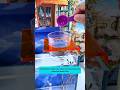 Simple Fish Feeding Tube | Ống cho cá ăn giúp thức ăn không lan ra ngoài #aquarium #fishtank #tools