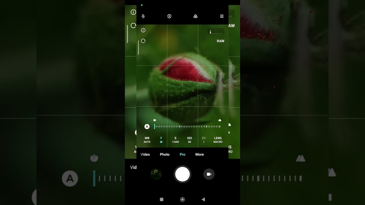 Nature Mobile macro photography 