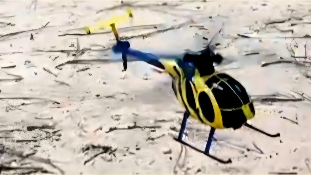 Wife's first RC Helicopter flight w/ the beginner friendly RC ERA MD500 C184