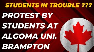 Why International Students are protesting at Algoma University, Brampton| Students in trouble| visa