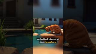 Gizemli Altın Balık Ve Cesur Kedi Miskin 52