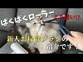 ぱくぱくローラー超えかもしれない。。猫の抜け毛取り、キャットタワーの掃除におすすめのブラシ見つけました！