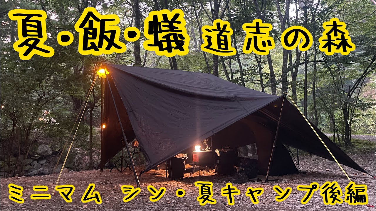 DDタープアレンジ張りで最高の夏キャンプと最低のキャンプ飯