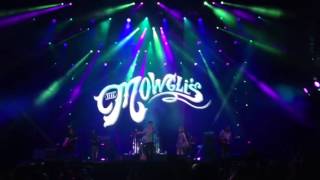 The Mowglis Say It Just Say It