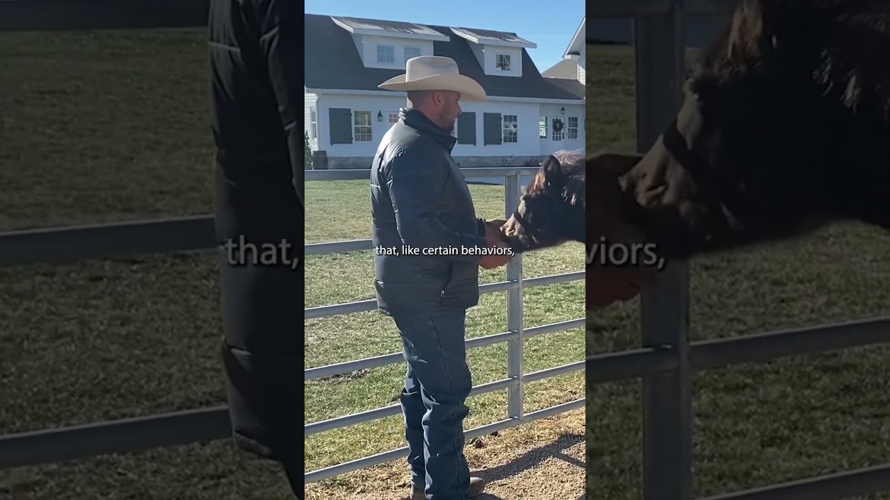 Building Confidence is Great than Desensitizing