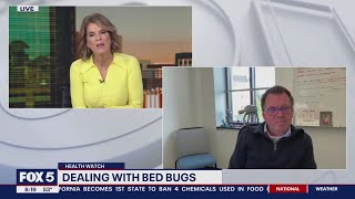 How to stay bedbug free