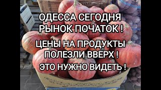 РЫНОК ПОЧАТОК ОДЕССА🌽ОБЗОР ЦЕН НА ПРОДУКТЫ ПРЯМО СЕЙЧАС!🌽ЭТО ТОЧНО НУЖНО ВИДЕТЬ!🌽