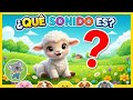 Adivina el Sonido del Animal 🐸🐇🐩🐄 Sonidos de animales para niños  PARTE 2